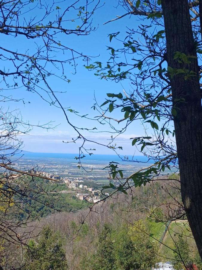 Casa Pernice Penta di Casinca Zewnętrze zdjęcie